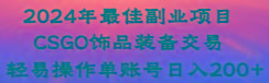 2024年最佳副业项目 CSGO饰品装备交易 轻易操作单账号日入200+-创新Ovo