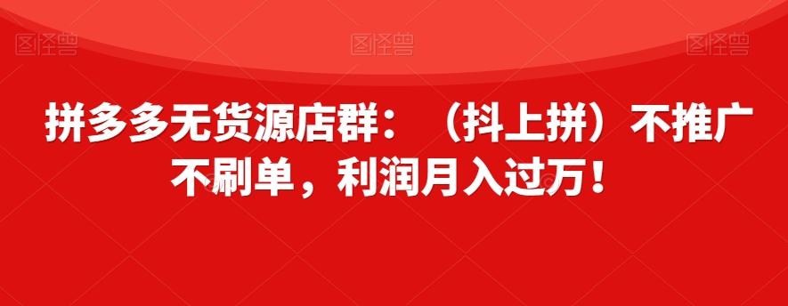 拼多多无货源店群：（抖上拼）不推广不刷单，利润月入过万！【揭秘】-创新Ovo