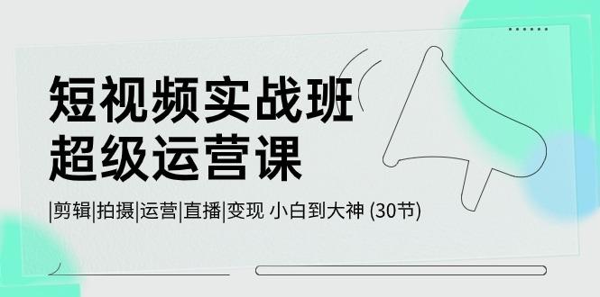 短视频实战班超级运营课 |剪辑|拍摄|运营|直播|变现 小白到大神 (30节)-创新Ovo