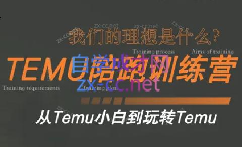 苗苗·拼多多跨境（temu）课程-创新Ovo