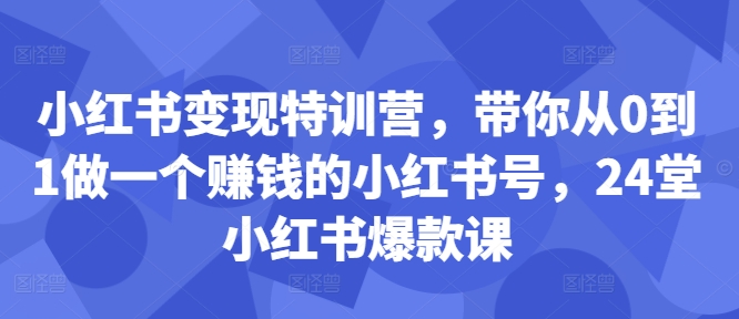 小红书变现特训营，带你从0到1做一个赚钱的小红书号，24堂小红书爆款课-创新Ovo