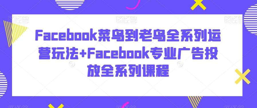 Facebook菜鸟到老鸟全系列运营玩法+Facebook专业广告投放全系列课程-创新Ovo