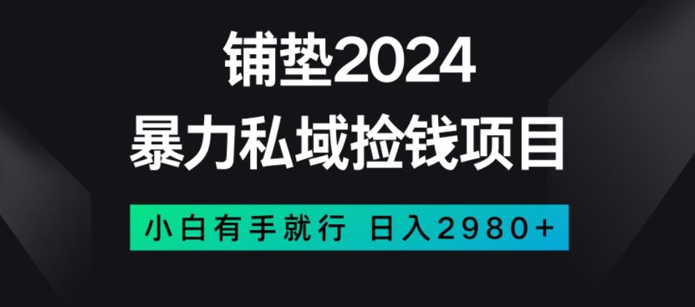 暴力私域捡钱项目，小白无脑操作，日入2980【揭秘】-创新Ovo