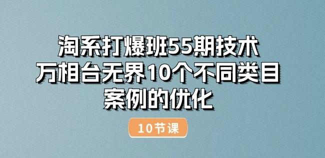 淘系打爆班55期技术：万相台无界10个不同类目案例的优化(10节)-创新Ovo