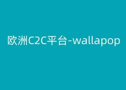 欧洲C2C平台-wallapop-kim跨境电商教程-创新Ovo