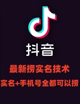 最新技术抖音捞实名+捞手机号技术，抖音直播封禁释放十名/手机号，直接替换出来!-创新Ovo