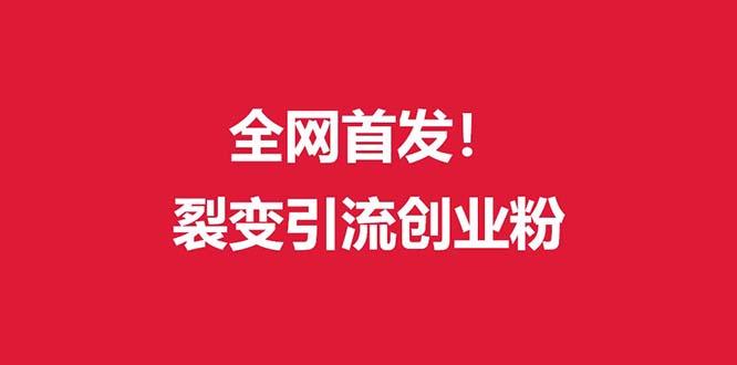 (全网首发)外面收费几千的裂变引流高质量创业粉-创新Ovo