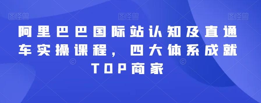 阿里巴巴国际站认知及直通车实操课程，四大体系成就TOP商家-创新Ovo