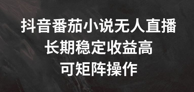 抖音番茄小说无人直播，长期稳定收益高，可矩阵操作【揭秘】-创新Ovo
