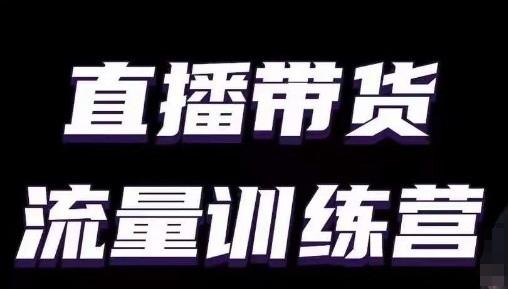 直播带货流量训练营，小白主播必学直播课-创新Ovo
