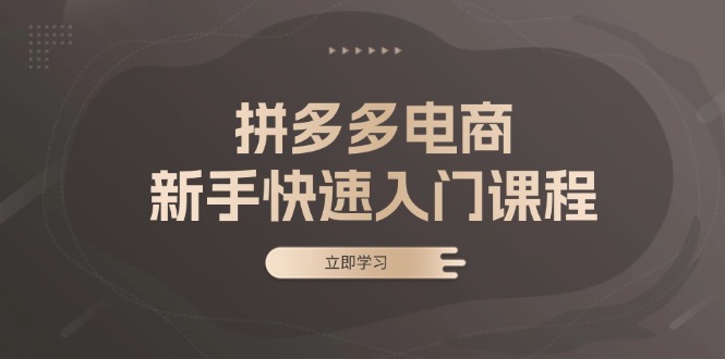 拼多多电商新手快速入门课程：涵盖基础、实战与选款，助力小白轻松上手-创新Ovo