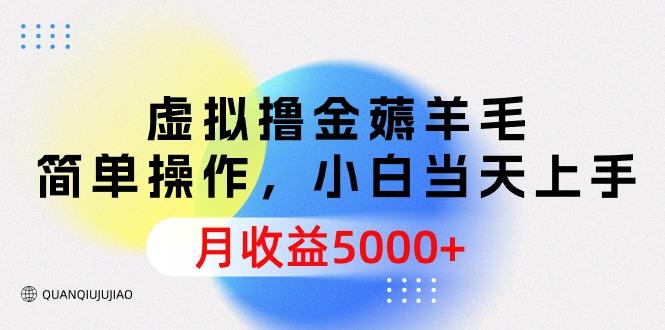 (9864期)虚拟撸金薅羊毛，简单操作，小白当天上手，月收益5000+-创新Ovo