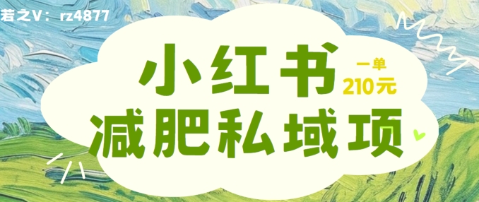 小红书减肥粉，私域变现项目，一单就达210元，小白也能轻松上手【揭秘】-创新Ovo