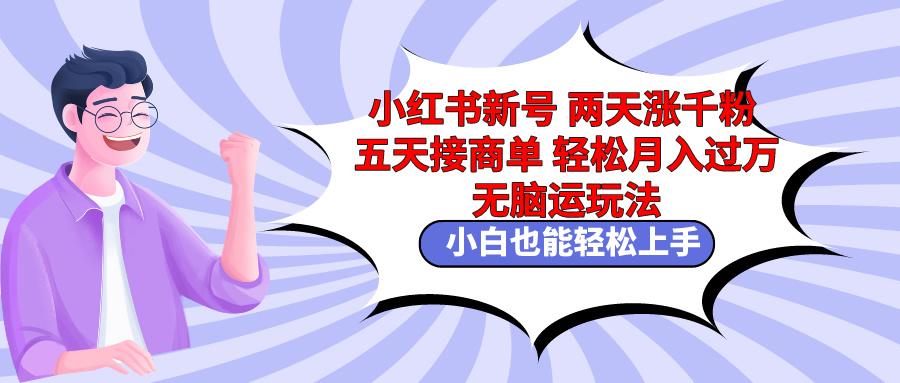 小红书新号两天涨千粉五天接商单轻松月入过万 无脑搬运玩法 小白也能轻…-创新Ovo