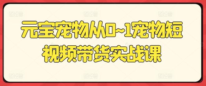 元宝宠物从0~1宠物短视频带货实战课-创新Ovo