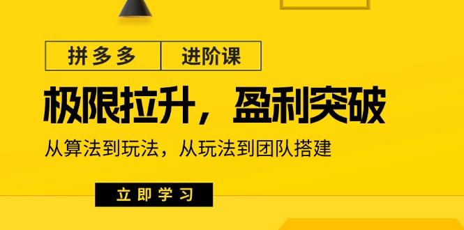 拼多多·进阶课：极限拉升/盈利突破：从算法到玩法 从玩法到团队搭建-18节-创新Ovo