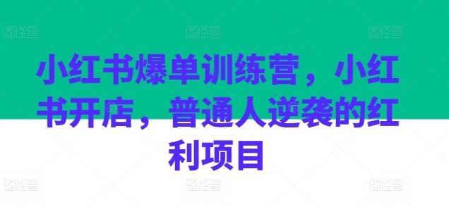 小红书爆单训练营，小红书开店，普通人逆袭的红利项目-创新Ovo