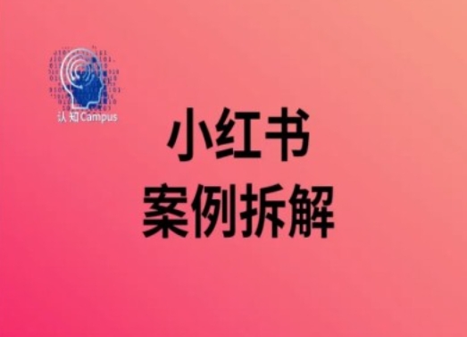小红书案例拆解，深度解读小红书40万粉-创新Ovo