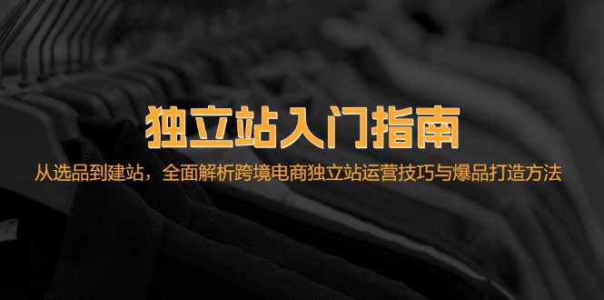 独立站入门指南：从选品到建站，全面解析跨境电商独立站运营技巧与爆品…-创新Ovo