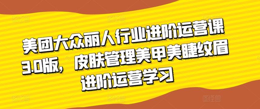 美团大众丽人行业进阶运营课3.0版，皮肤管理美甲美睫纹眉进阶运营学习-创新Ovo