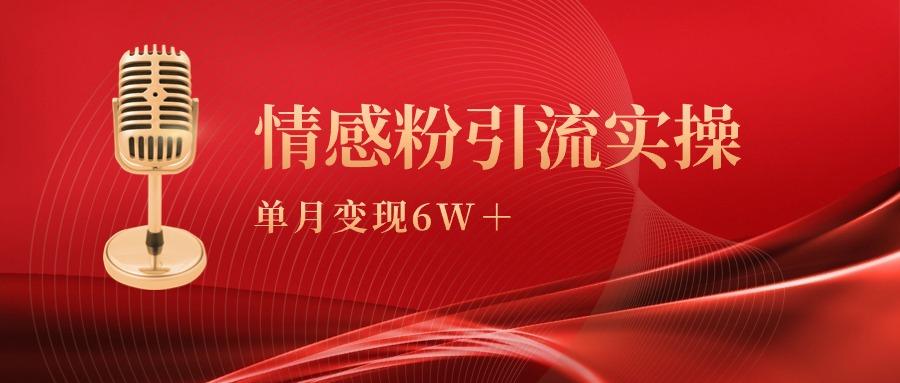 (9473期)单月变现6w+，情感粉引流变现实操课-创新Ovo