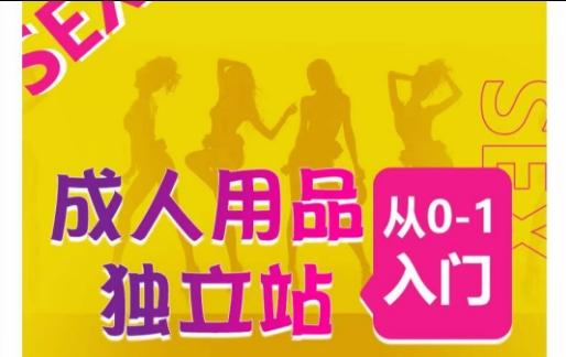 成人用品独立站从0-1入门，成品独立站运营全流程教学，七大好卖成品独立站推荐-创新Ovo