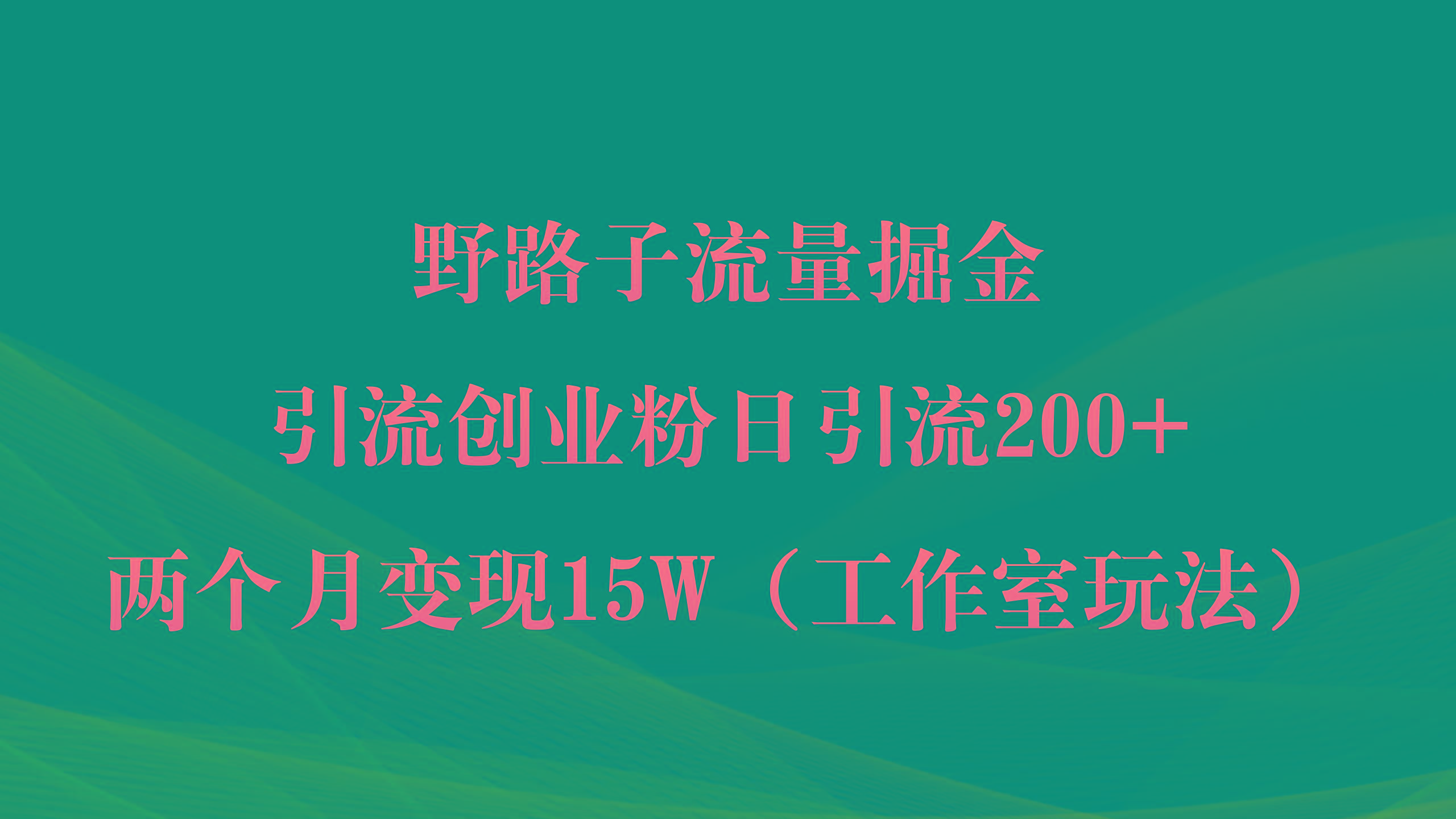 (9513期)野路子流量掘金，引流创业粉日引流200+，两个月变现15W(工作室玩法))-创新Ovo