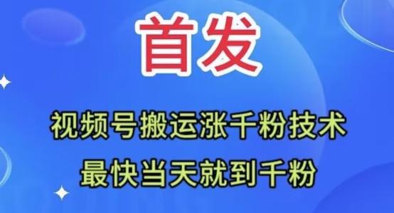 全网首发：视频号无脑搬运涨千粉技术，最快当天到千粉【揭秘】-创新Ovo