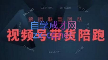 狼团联盟·2024视频号带货-创新Ovo