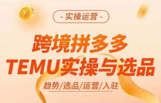 跨境拼多多TEMU实操与选品，多多temu跨境选品运营实操-创新Ovo