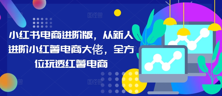 小红书电商进阶版，从新人进阶小红薯电商大佬，全方位玩透红薯电商-创新Ovo