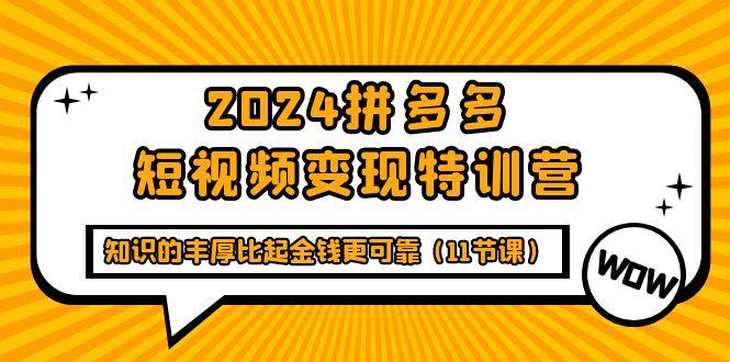 (9817期)2024拼多多短视频变现特训营，知识的丰厚比起金钱更可靠(11节课)-创新Ovo