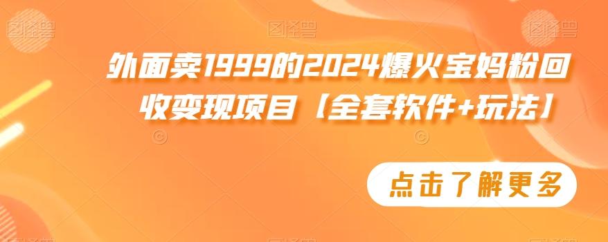 外面卖1999的2024爆火宝妈粉回收变现项目【全套软件+玩法】【揭秘】-创新Ovo