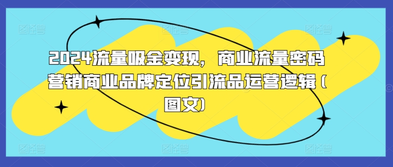 2024流量吸金变现，商业流量密码营销商业品牌定位引流品运营逻辑(图文)-创新Ovo