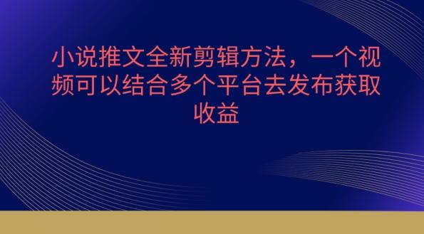 小说推文全新剪辑方法，一个视频可以结合多个平台去发布获取【揭秘】-创新Ovo