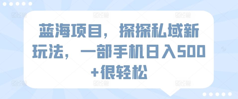 蓝海项目，探探私域新玩法，一部手机日入500+很轻松【揭秘】-创新Ovo