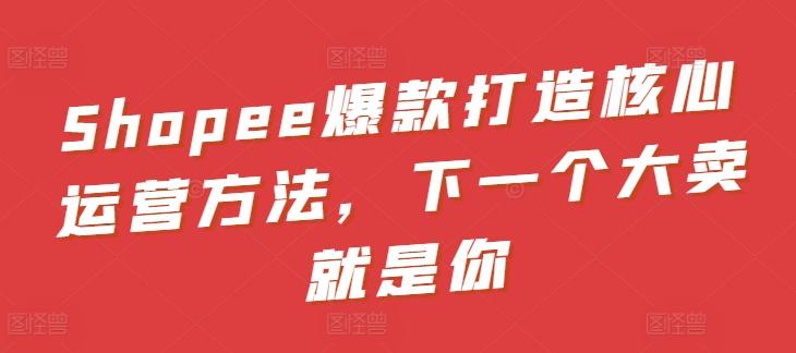 Shopee爆款打造核心运营方法，下一个大卖就是你-创新Ovo