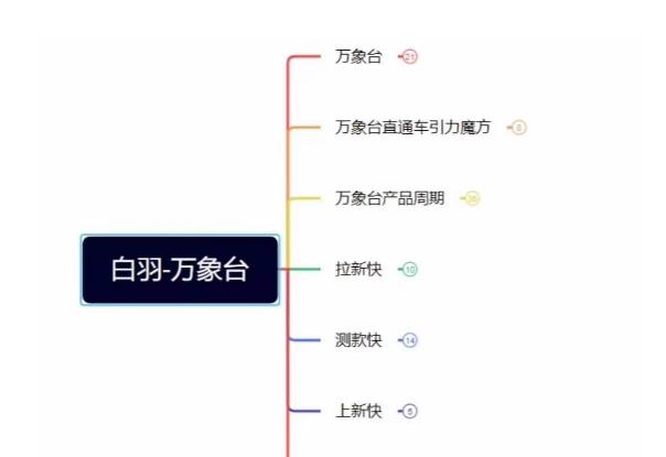 白羽·直引万搜索全篇，从0-1，多个类目实操经验总结付费-创新Ovo