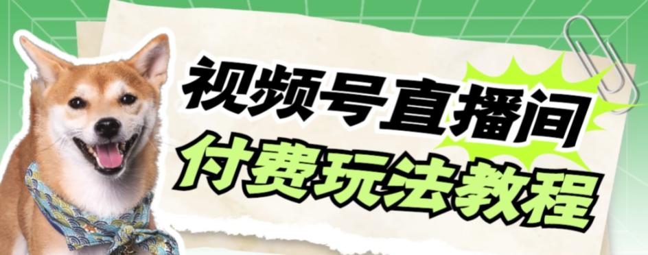 视频号美女付费无人直播，轻松日入500+【详细玩法教程】-创新Ovo