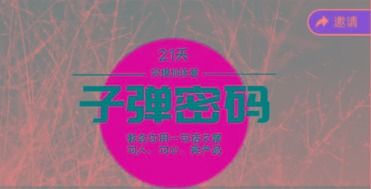 《子弹密码训练营》-用一句话文案勾人勾心卖产品，21天学到顶尖文案大师策略和技巧-创新Ovo