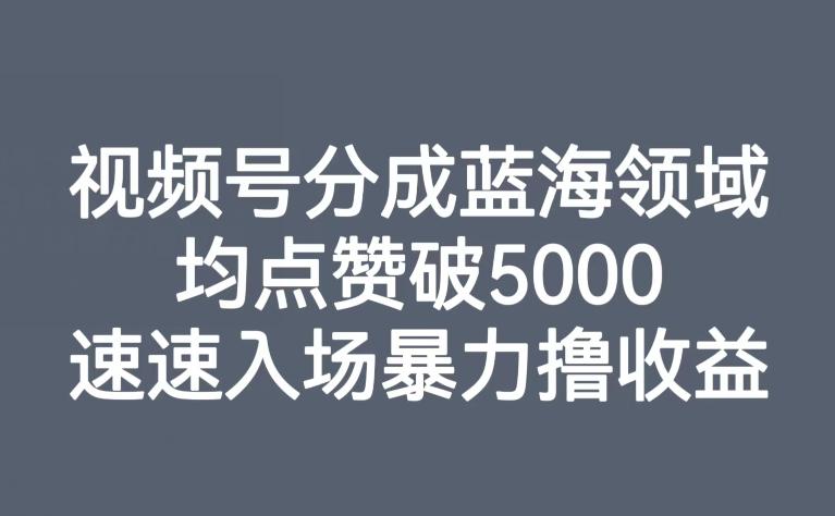 视频号分成蓝海领域，均点赞破5000，速速入场暴力撸收益-创新Ovo