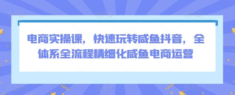 电商实操课，快速玩转咸鱼抖音，全体系全流程精细化咸鱼电商运营-创新Ovo