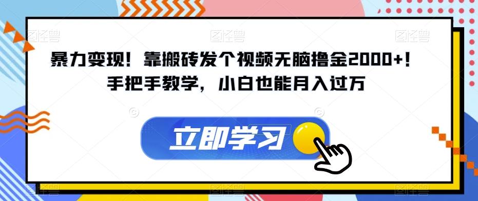 暴力变现！靠搬砖发个视频无脑撸金2000+！手把手教学，小白也能月入过万【揭秘】-创新Ovo
