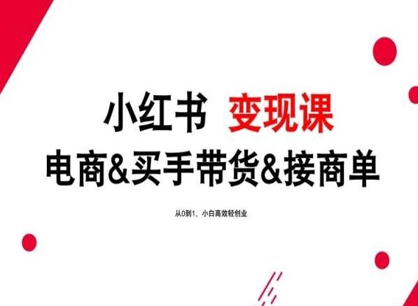 2024年最新小红书变现课，电商&买手带货&接商单，从0到1，小白高效轻创业-创新Ovo