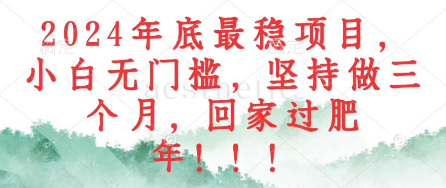 2024年底最稳项目，小白无门槛，坚持做三个月，回家过肥年！！！-创新Ovo