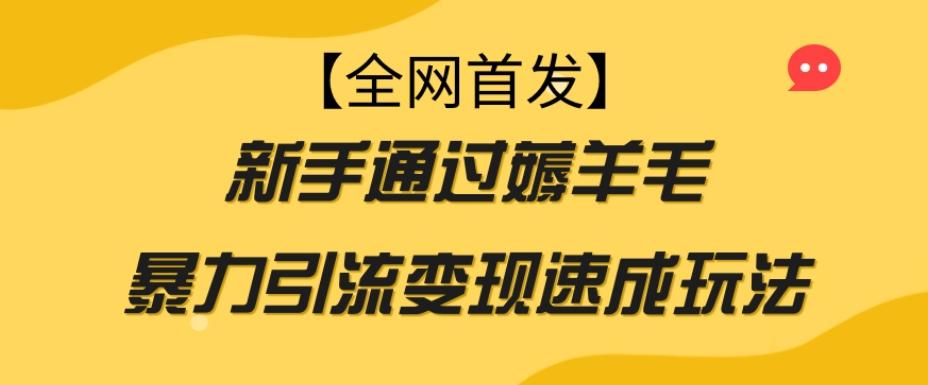 【全网首发】新手通过薅羊毛暴力引流变现速成玩法-创新Ovo