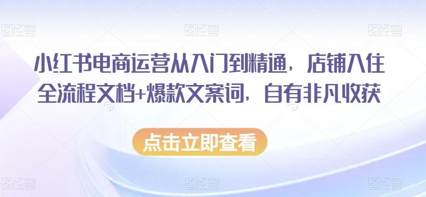 小红书电商运营从入门到精通，店铺入住全流程文档+爆款文案词，自有非凡收获-创新Ovo
