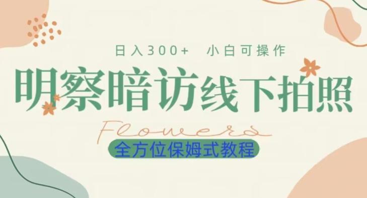 明拍暗拍项目0成本投入日入300+小白可操作保姆式全方位教程-创新Ovo
