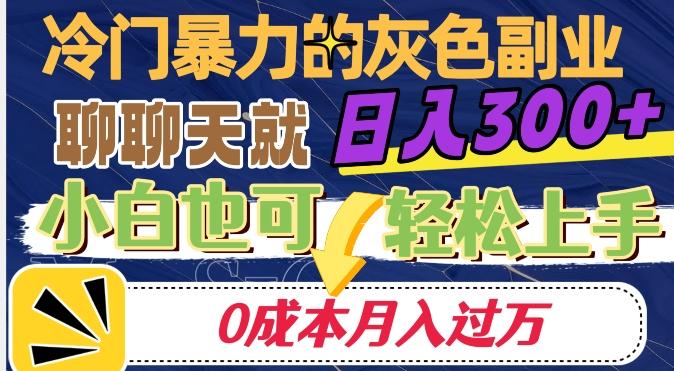 冷门暴利的副业项目，聊聊天就能日入300+，0成本月入过万【揭秘】-创新Ovo