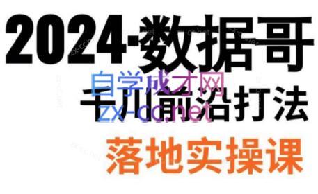 数据哥·2024年千川前沿打法落地实操课-创新Ovo